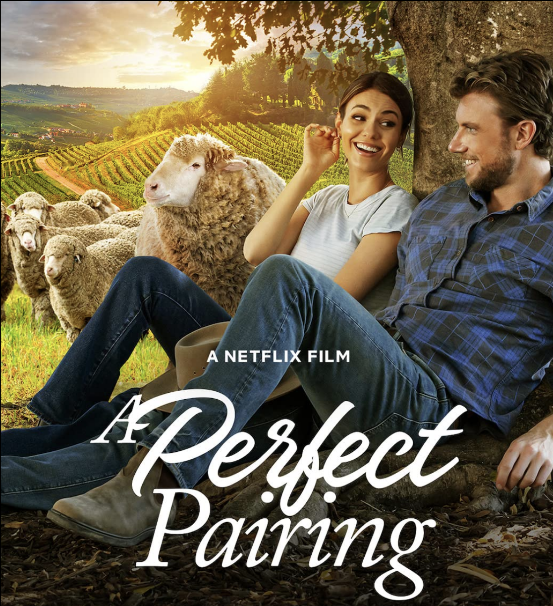 Review Is A PERFECT PAIRING Your Kind of Comfort Watch Rom-Com?